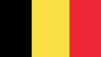 Belçika medyum